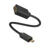 UGREEN HDMI Female to Micro HDMI + Mini HDMI Male 4K Adapter (UG-20144)