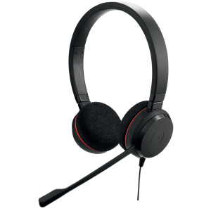 Jabra Evolve 20 USB-C Wired Stereo Headset with Noise-Canceling Mic (4999-823-169)