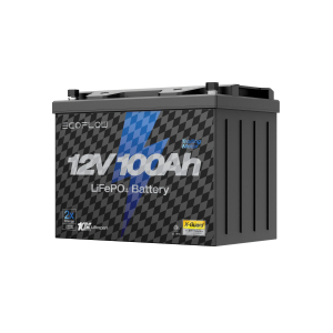 EcoFlow Lithium 12V 100Ah Deep Cycle LiFePO4 Battery (EF-PK-B12-1)