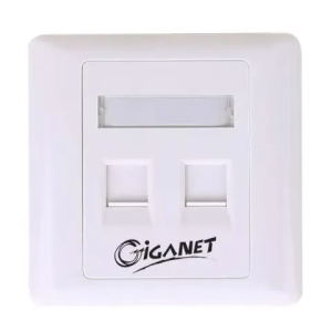 Giganet Dual Faceplate (GN-FP-02)