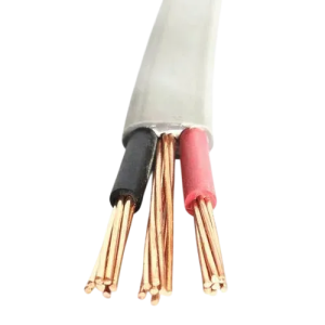 16mm PVC Insulated Flat Twin and Earth Wire Cable - ASL