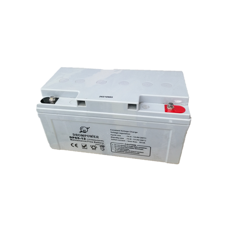 Drom Power 12V 65Ah Deep Cycle Maintenance-Free Battery
